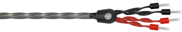 Wireworld Equinox 8 Bi-Wire (EQB) (BAN-BAN) - 2x2m 