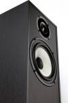 Pylon Audio Pearl 20