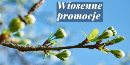 Wiosenne promocje